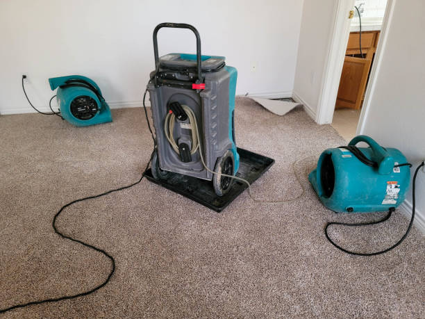 Best Flooded house restoration  in Smithfield, NC