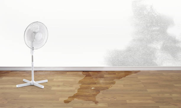 Best 24-hour water damage restoration  in Smithfield, NC