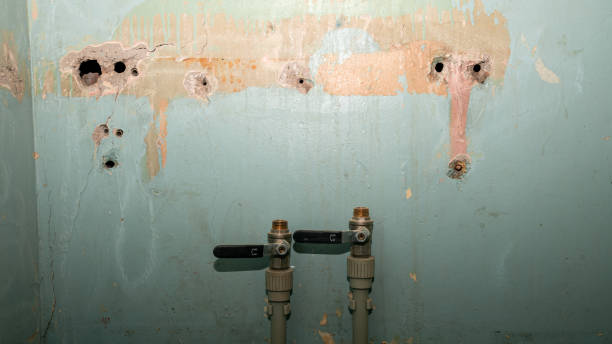 Best Basement water damage restoration  in Smithfield, NC