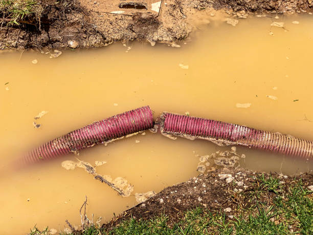Best Local water damage restoration  in Smithfield, NC
